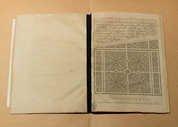 Amalia Del Ponte, Quando vedi il serpente non vedi la corda quando vedi la corda non vedi il serpente, 1978