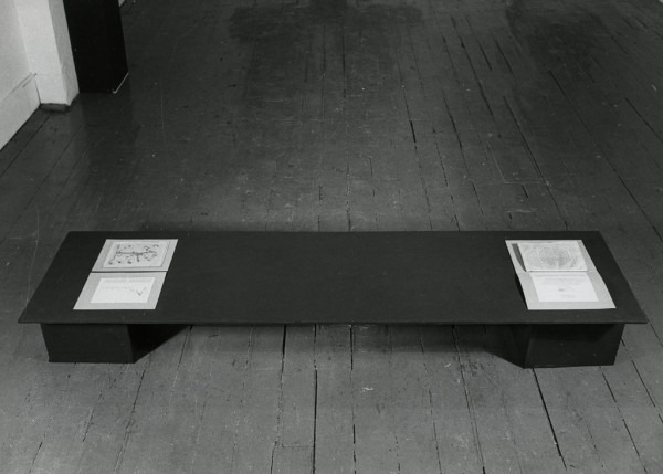 Amalia Del Ponte, Quando vedi il serpente non vedi la corda quando vedi la corda non vedi il serpente, 1978, C-Space di New York