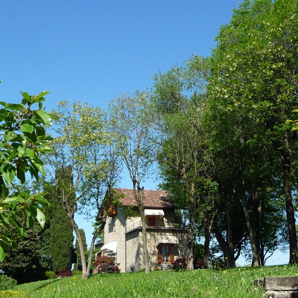 Amalia Del Ponte, Giardino del Roccolo di San Viglio (BG), 1978-1980