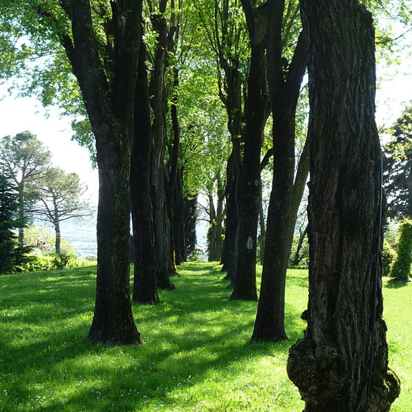 Amalia Del Ponte, Giardino del Roccolo di San Viglio (BG), 1978-1980