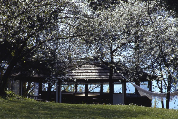 Amalia Del Ponte, Giardino del Roccolo di San Viglio (BG), 1978-1980