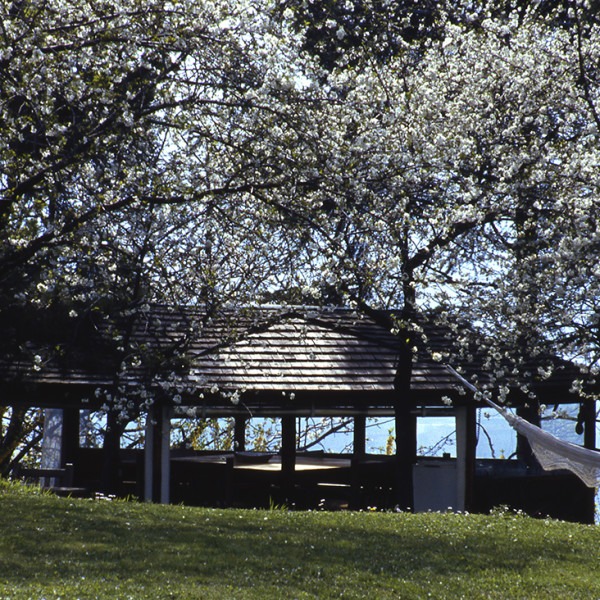 Amalia Del Ponte, Giardino del Roccolo di San Viglio (BG), 1978-1980