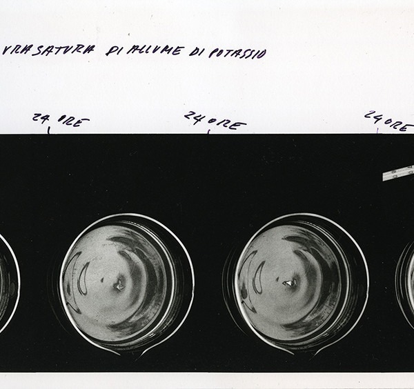 Amalia Del Ponte, Accrescimento di un cristallo, 1974