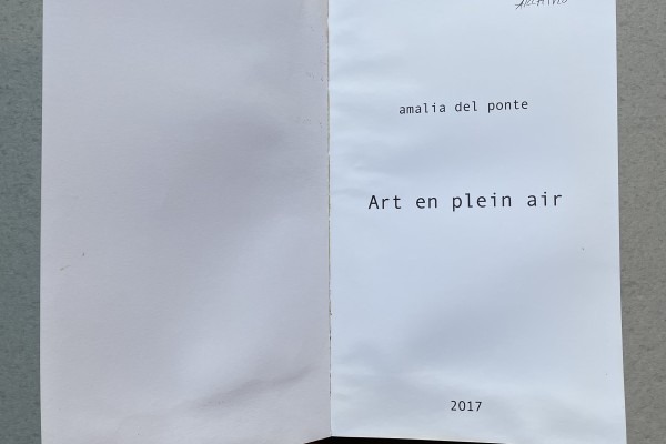 art en plein air - Amalia Del Ponte 2017