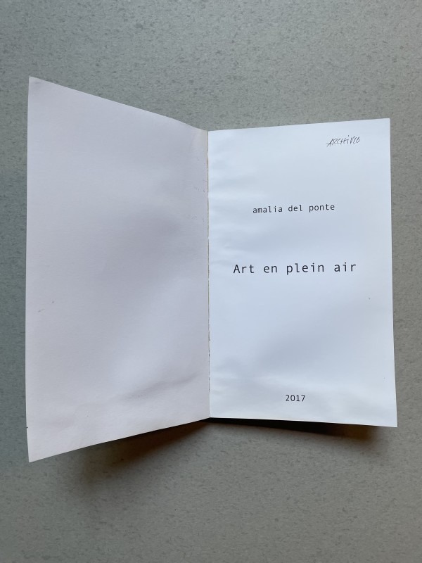 art en plein air - Amalia Del Ponte 2017