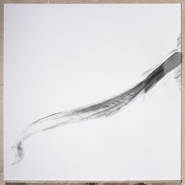 Amalia Del Ponte, Quetzal (2014)