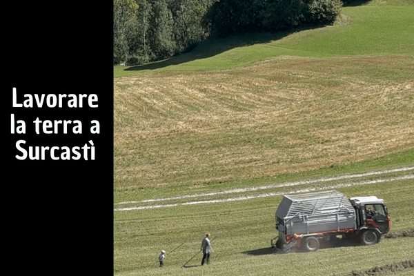 Lavorare la terra a Surcastì